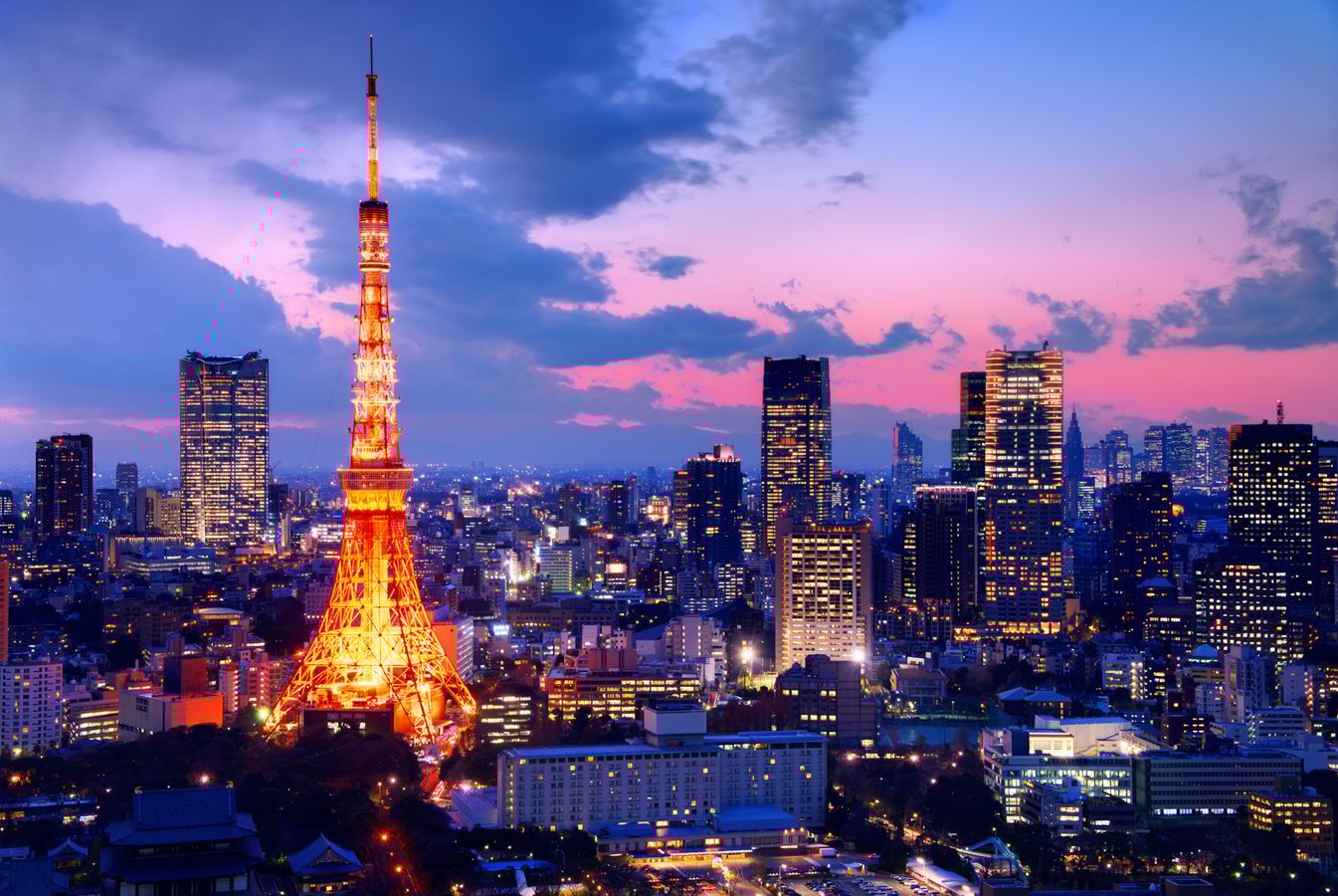 Neon lights in Tokyo skyline