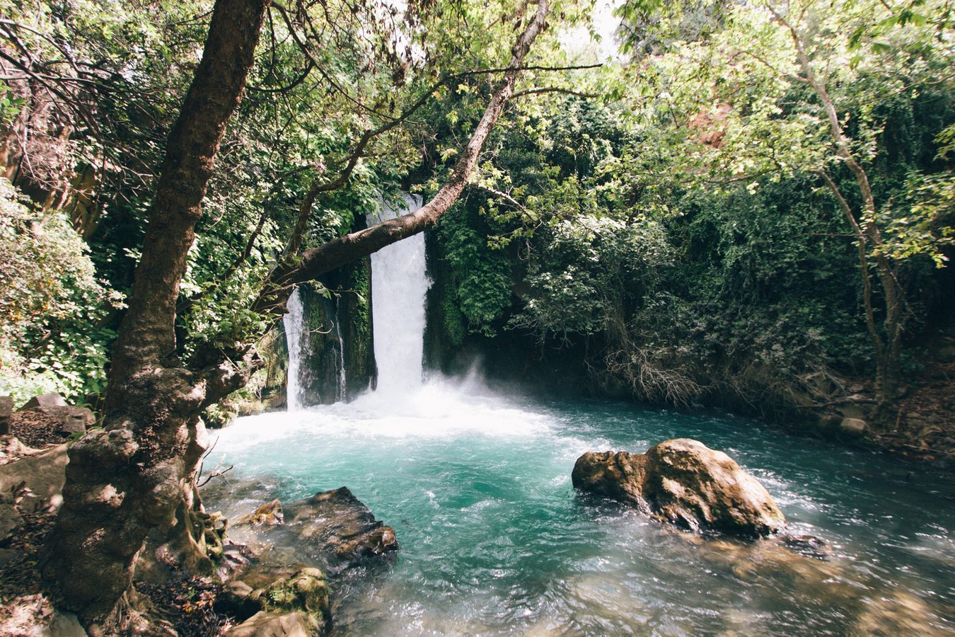 Ein Gedi Desert Oasis, Israel