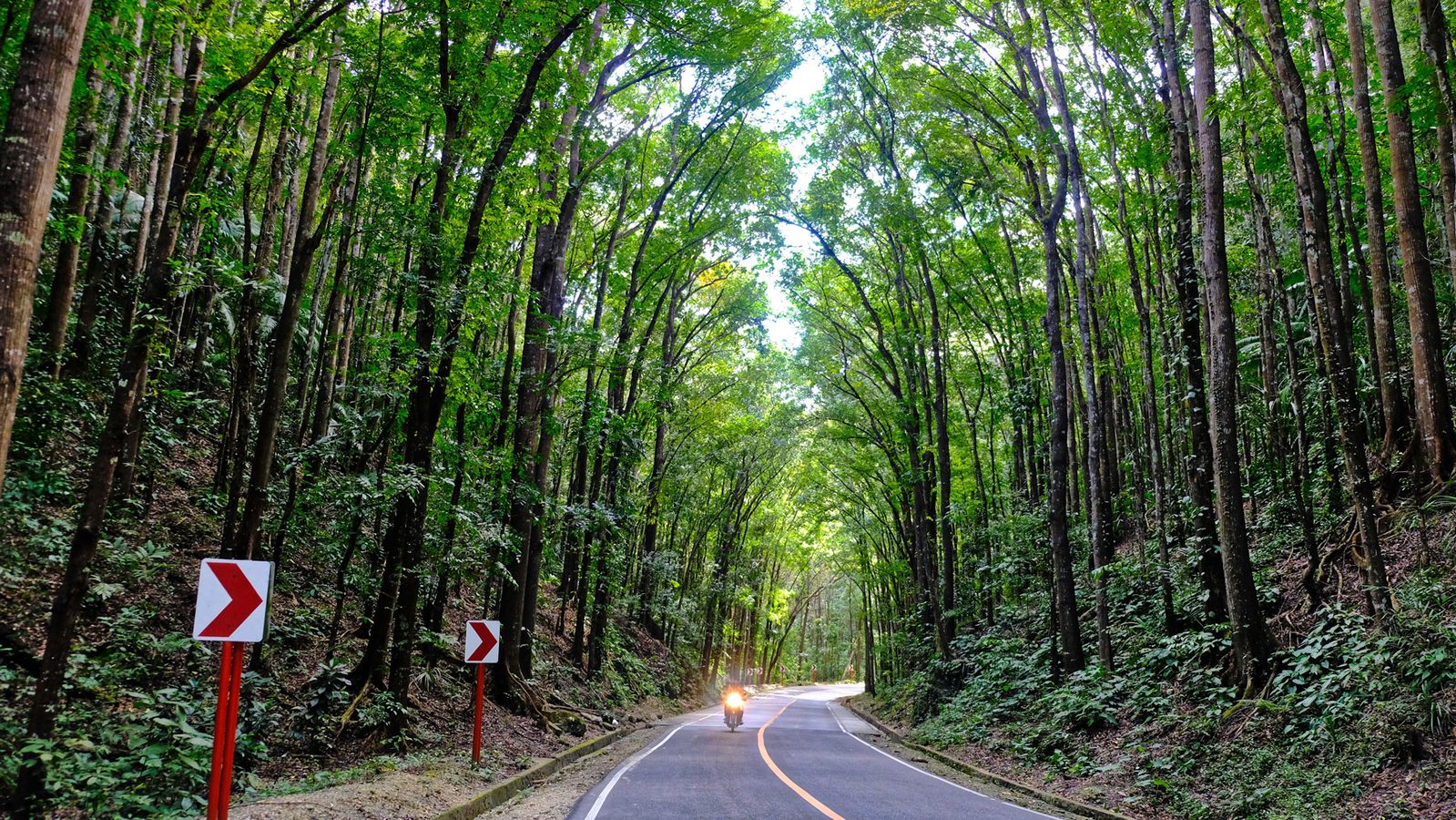 Biking in Bohol