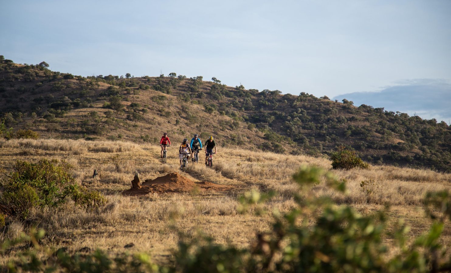 Luxury Family Safari Holiday in Kenya