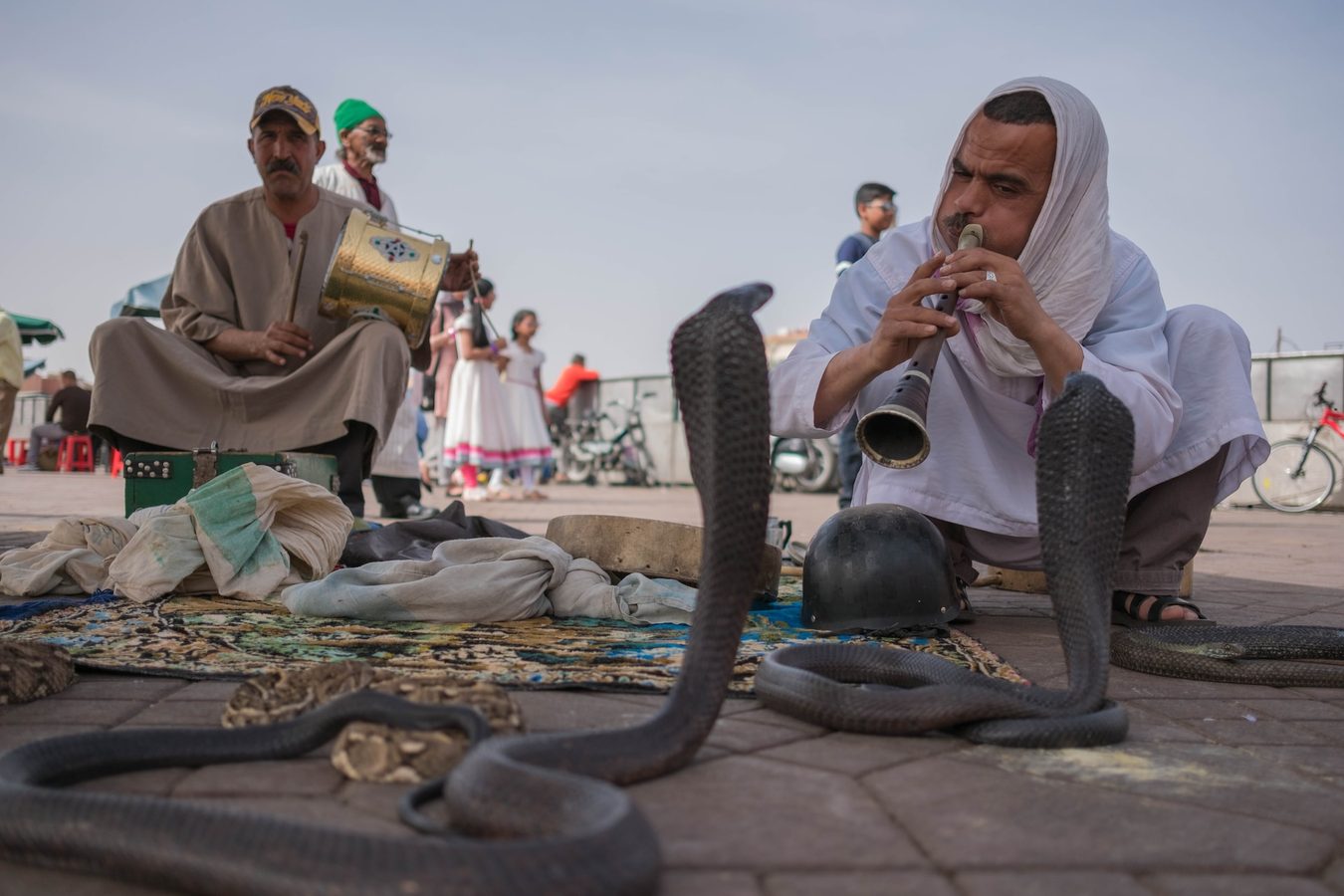 Snake charmer, Morocco