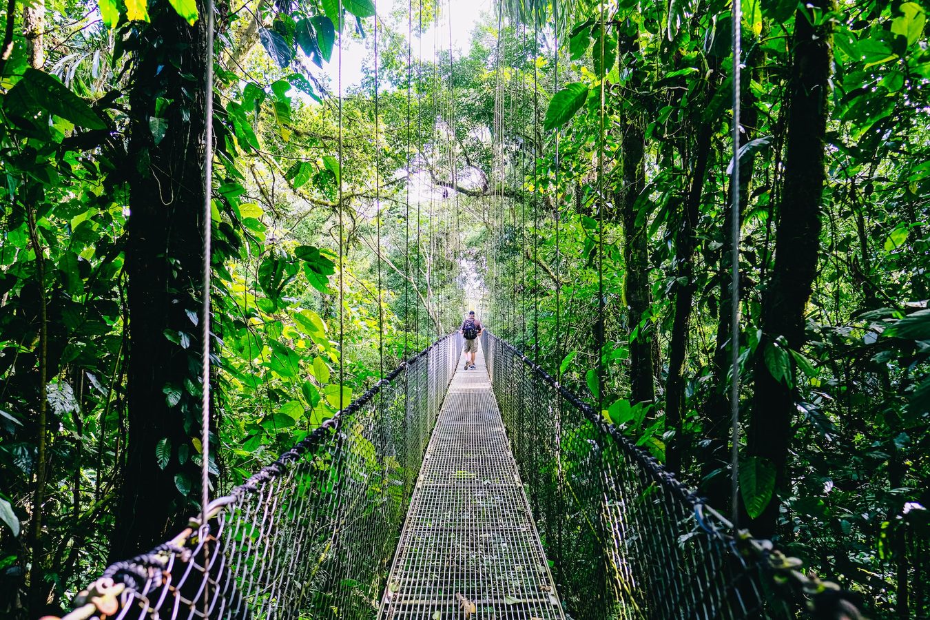 Hanging bridges, Costa Rica