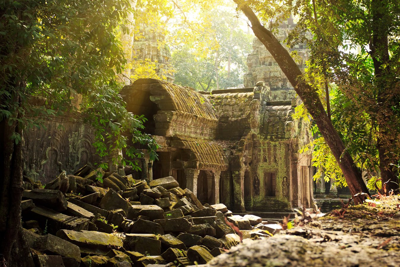 Ta Phrom temple ruins at Angkor in Siem Reap in cambodia