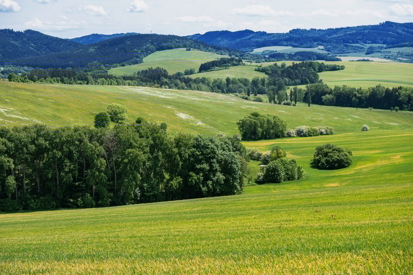 Wallachia Valley, Romania