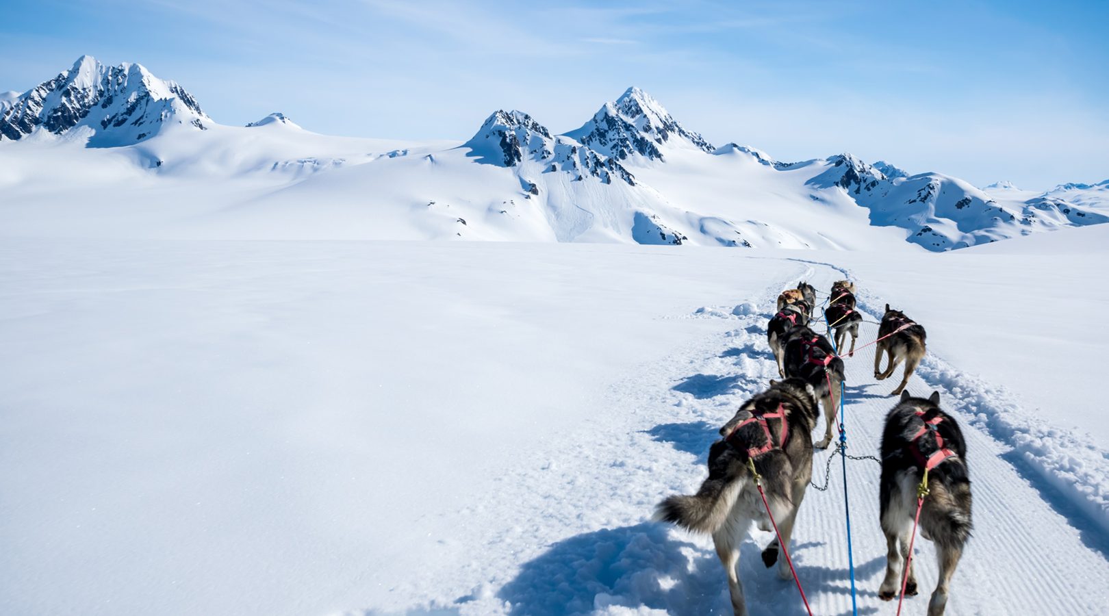 Take me on a story to Alaska