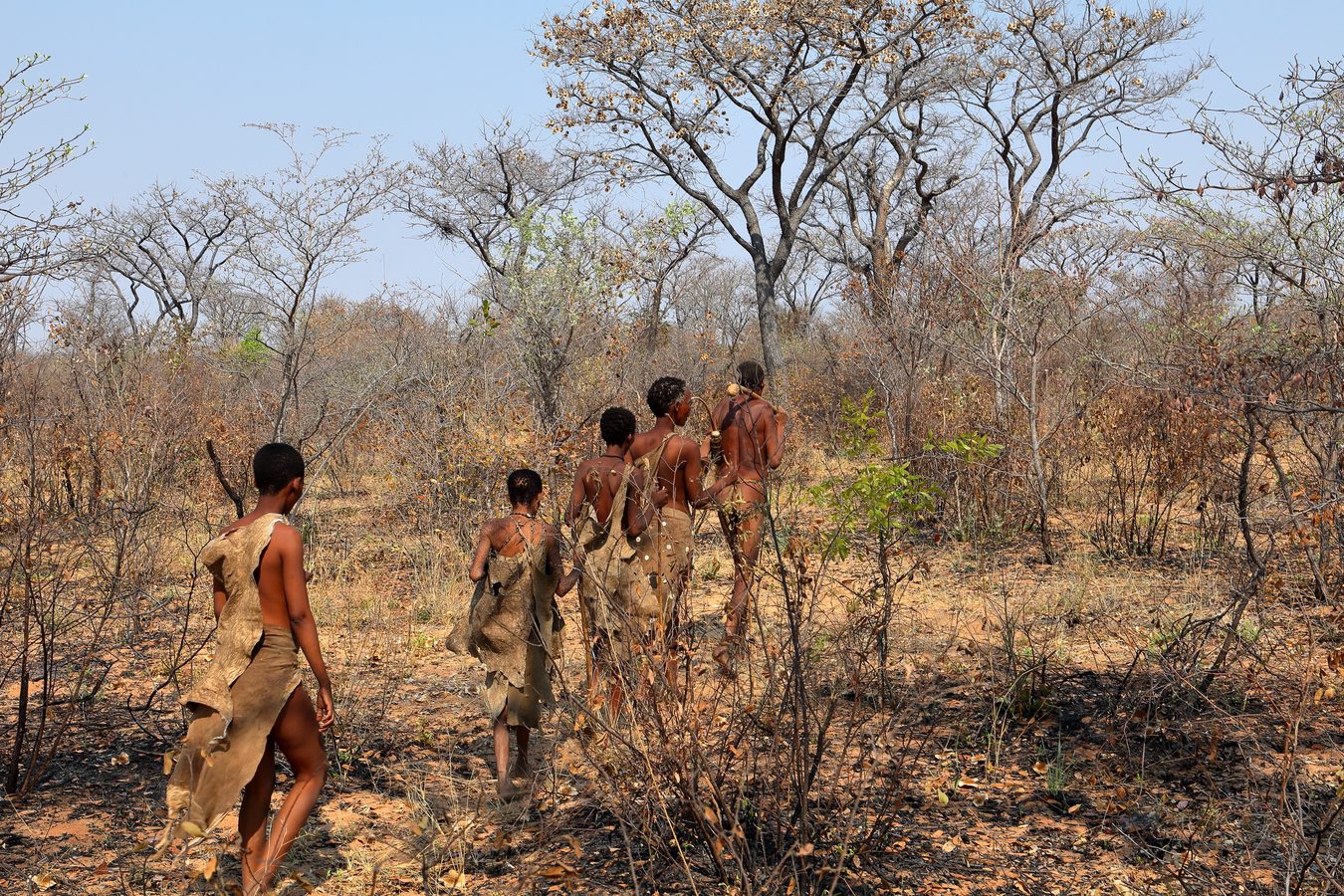 san bushmen in namibia