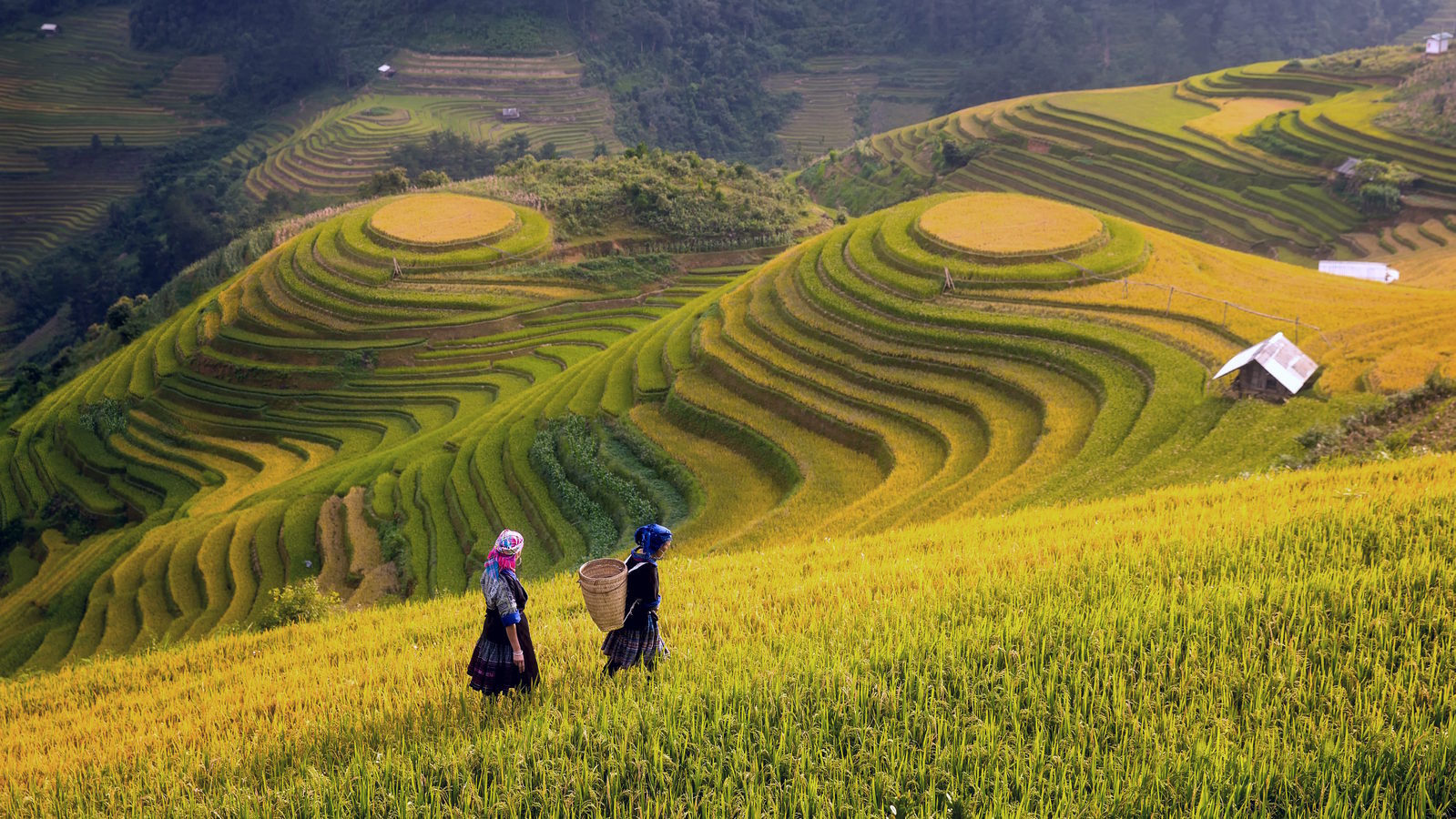 Vietnam luxury travel