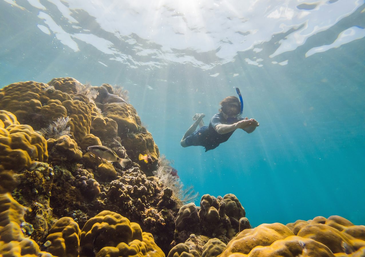 Snorkeling in Hawaii