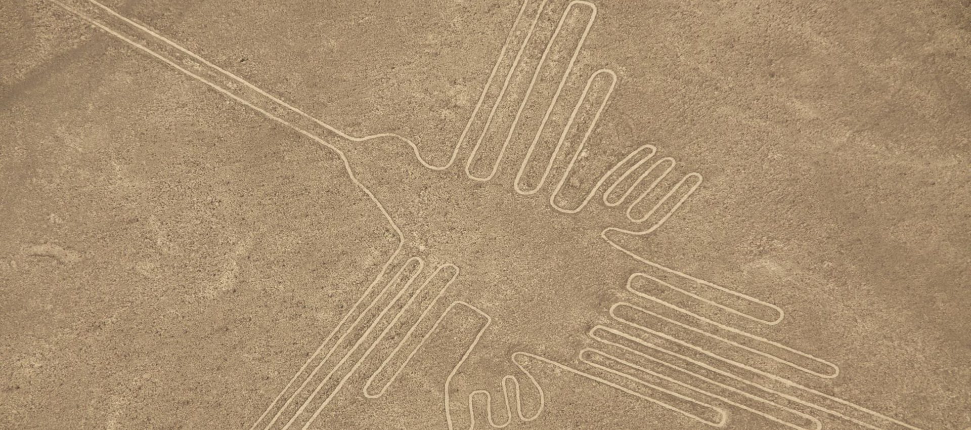 The hummingbird geoglyph