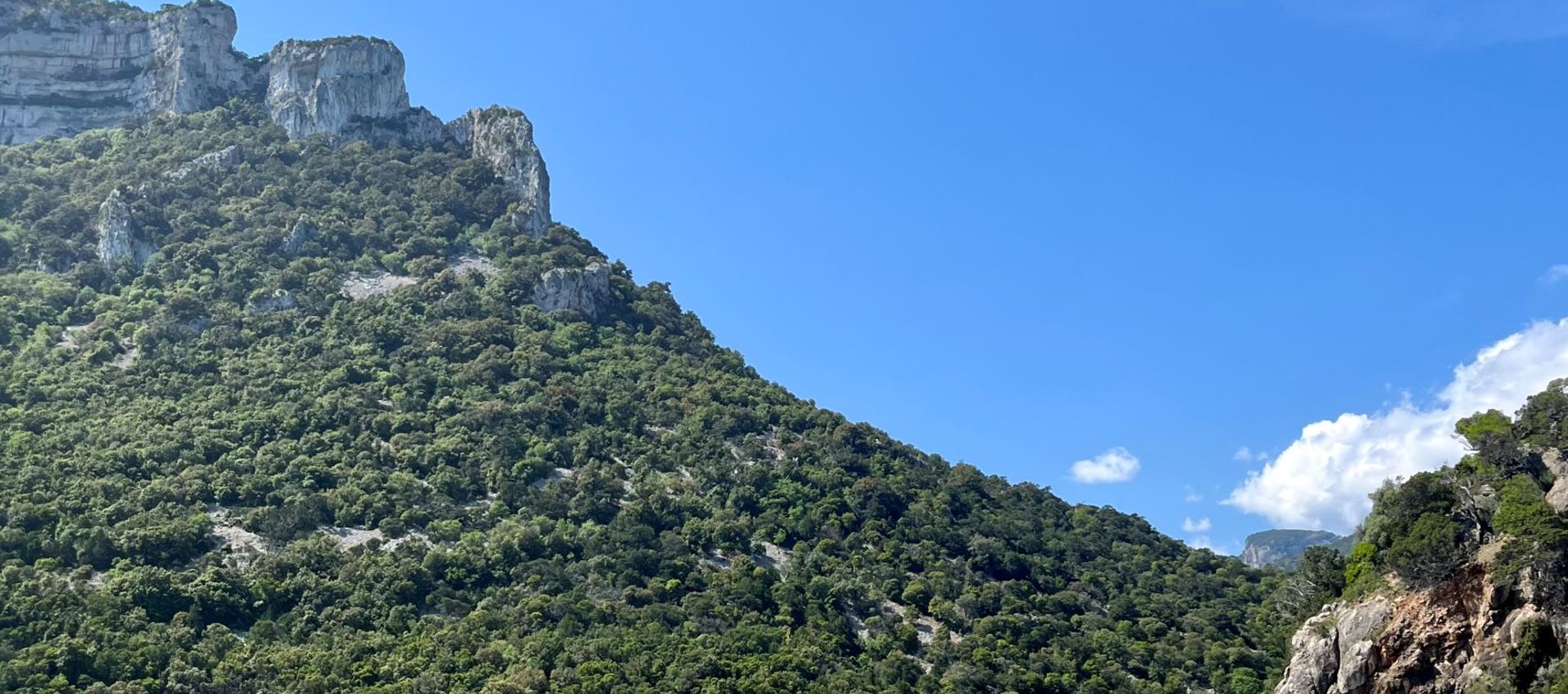 sardinia boat trip