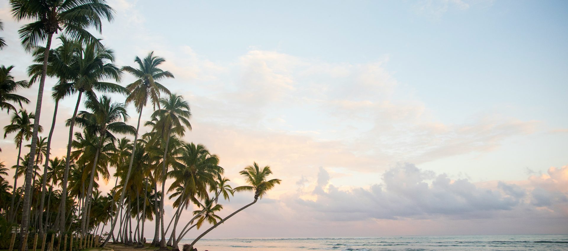 Palm beach in Dominican Republic