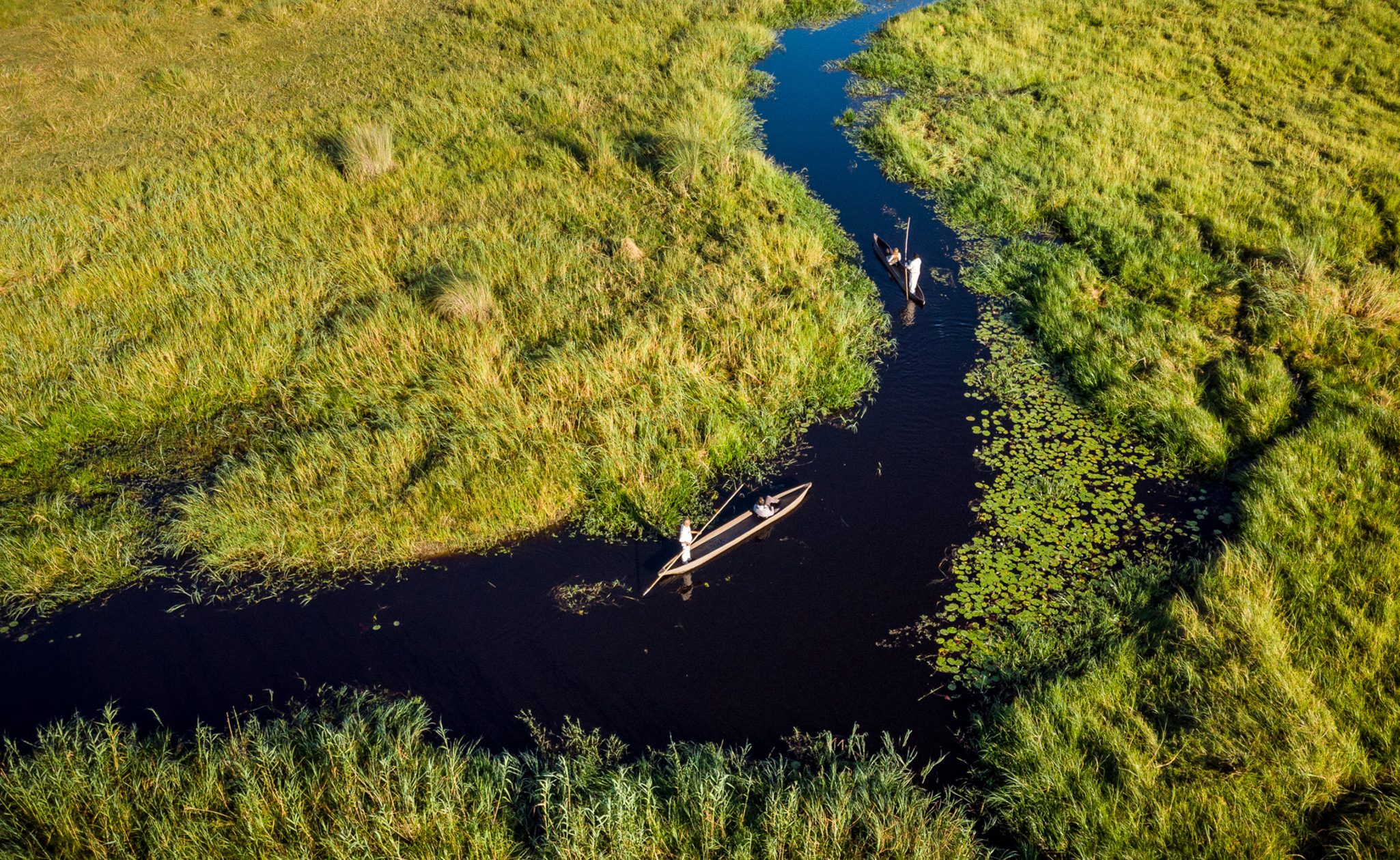 Mokoro safari in the Okavango Delta