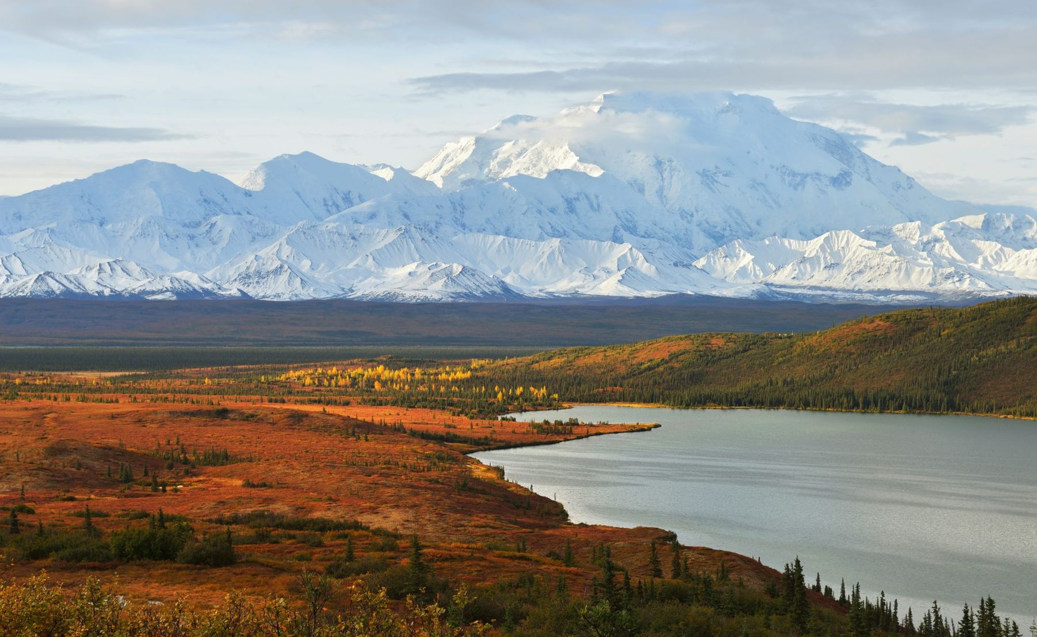 Denali National Park in Alaska