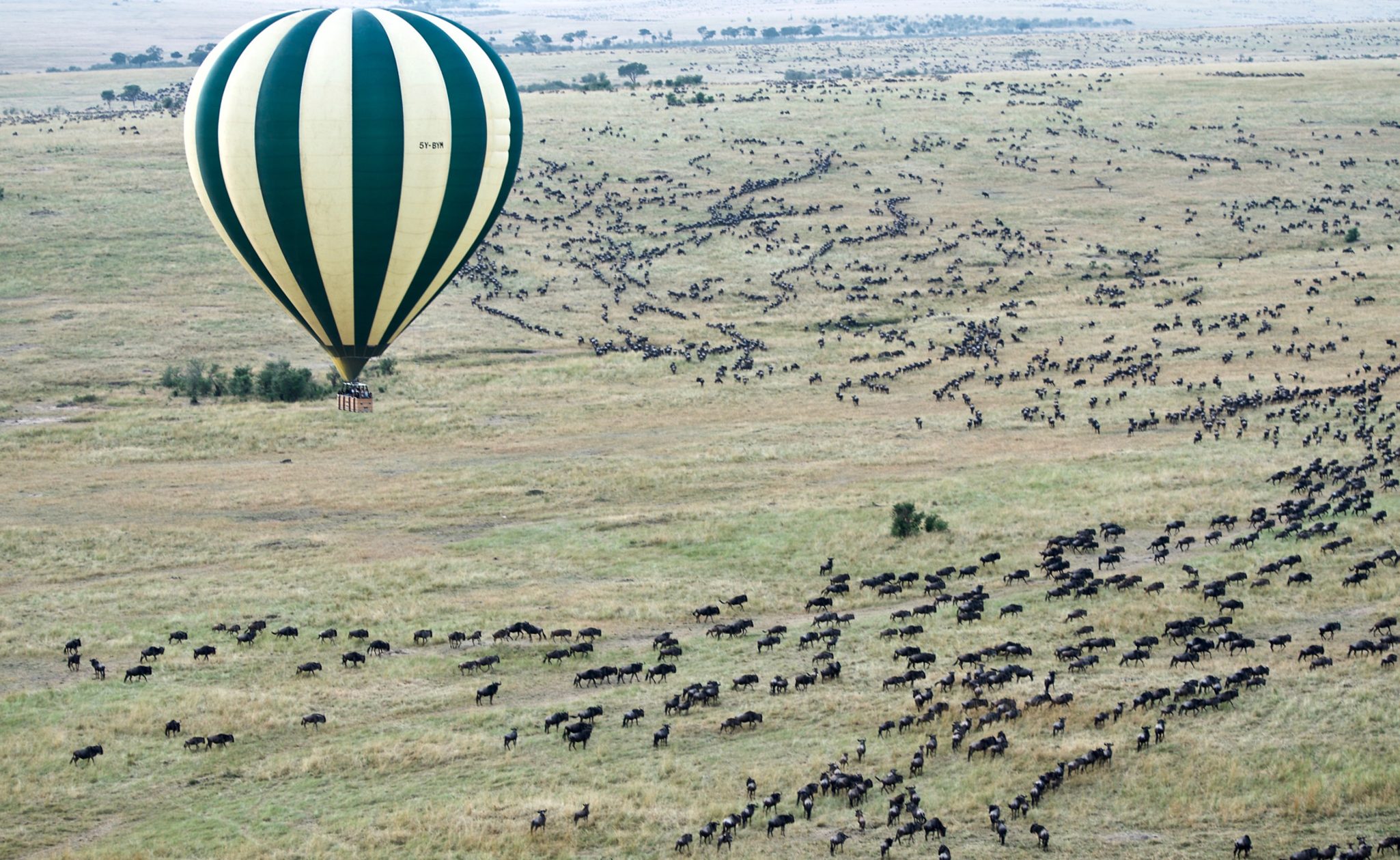 Great Migration from hot air balloon in Kenya
