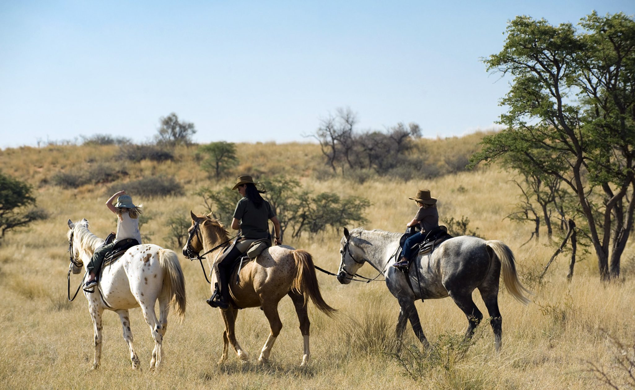 horseriding safari in south africa