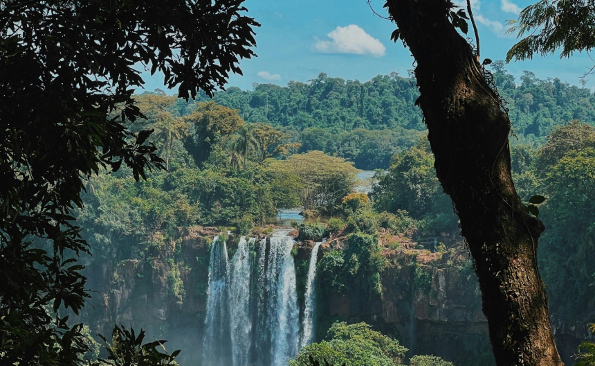 Iguazu Falls in Parana Brazil