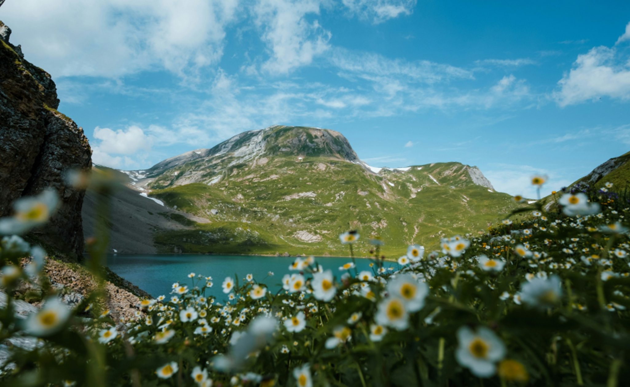 Swiss mountain lake with flowers