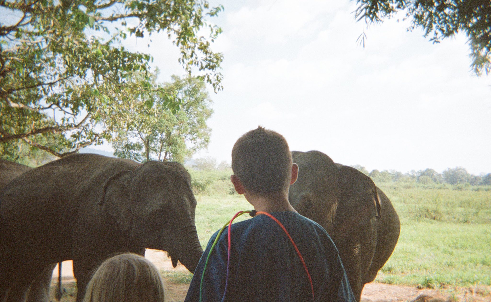 Thailand elephants experience