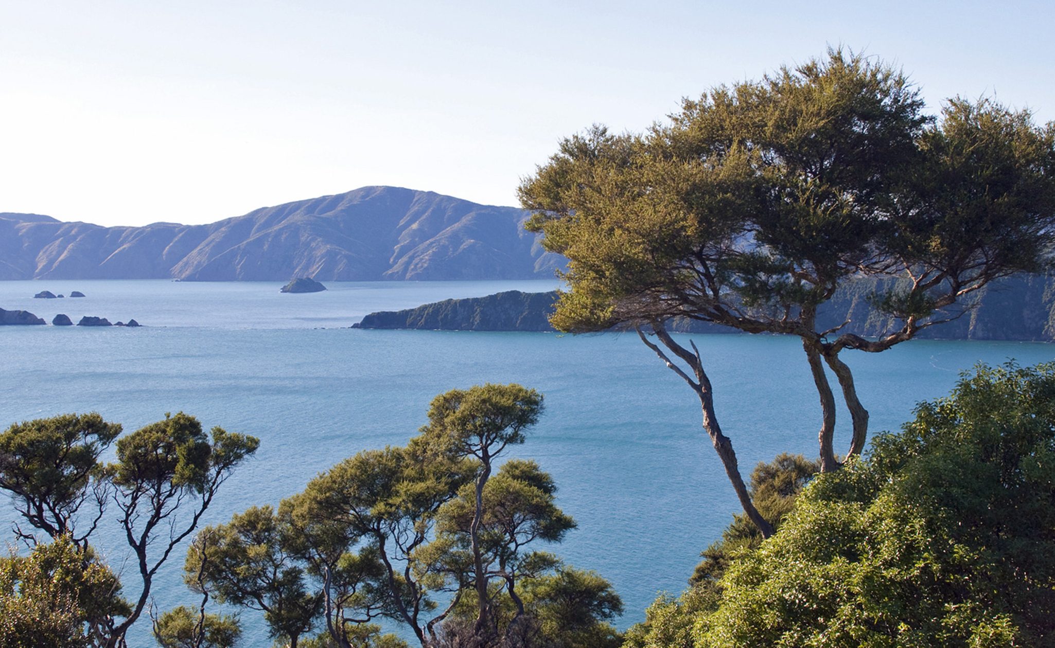 marlborough sounds new zealand south island