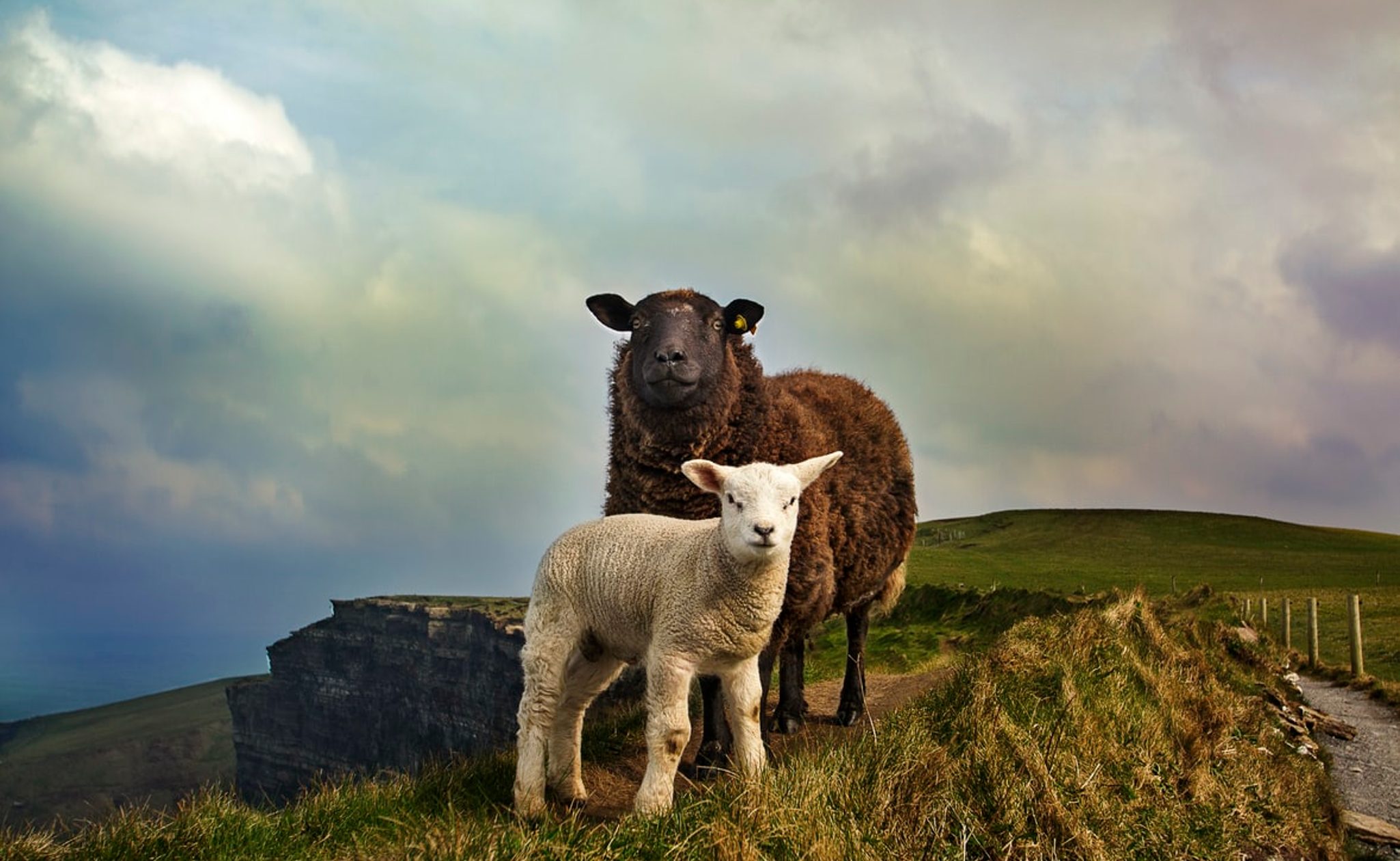 Ireland