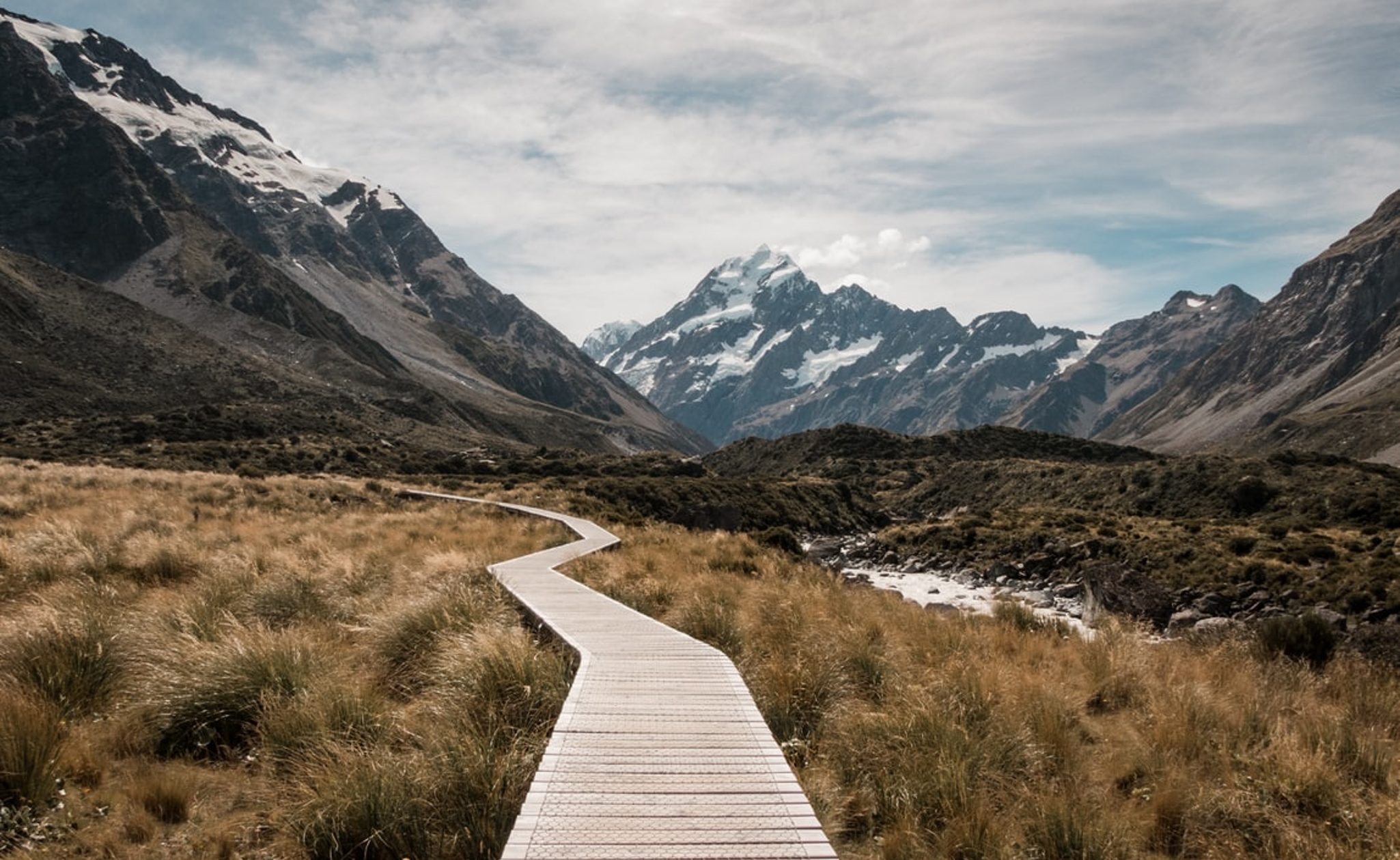 NZ
