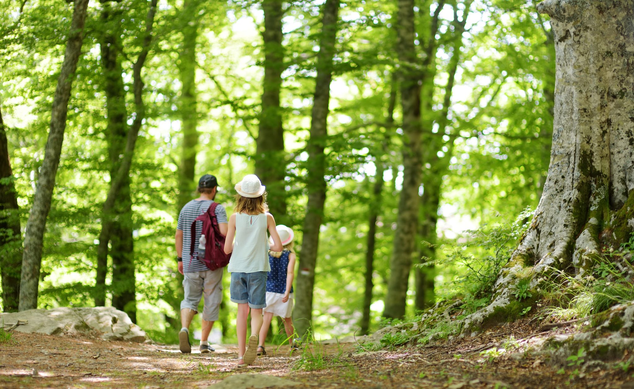 family walking through a forest in tuscany in italy