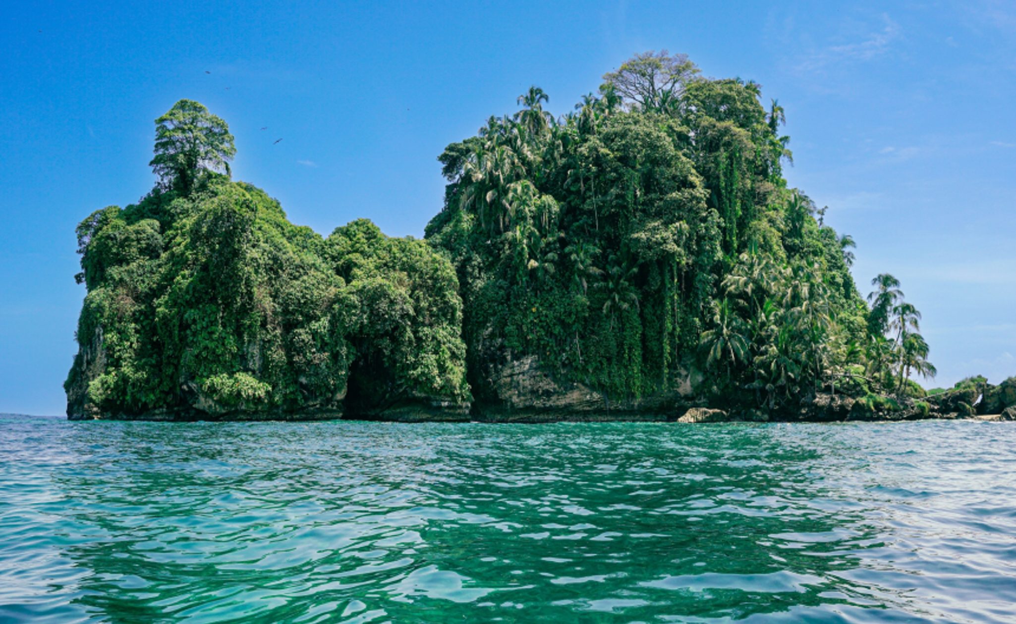 Bird's island Panama
