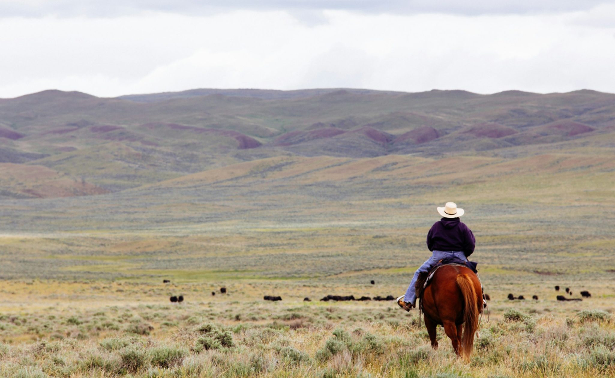 Horseback riding in Montana, USA