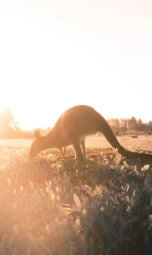 Most Popular, luxury travel australia