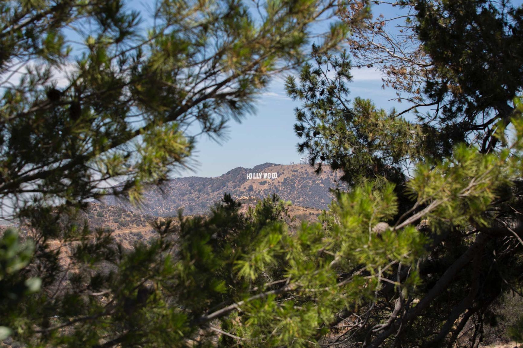 Horseriding tour to the Hollywood sign