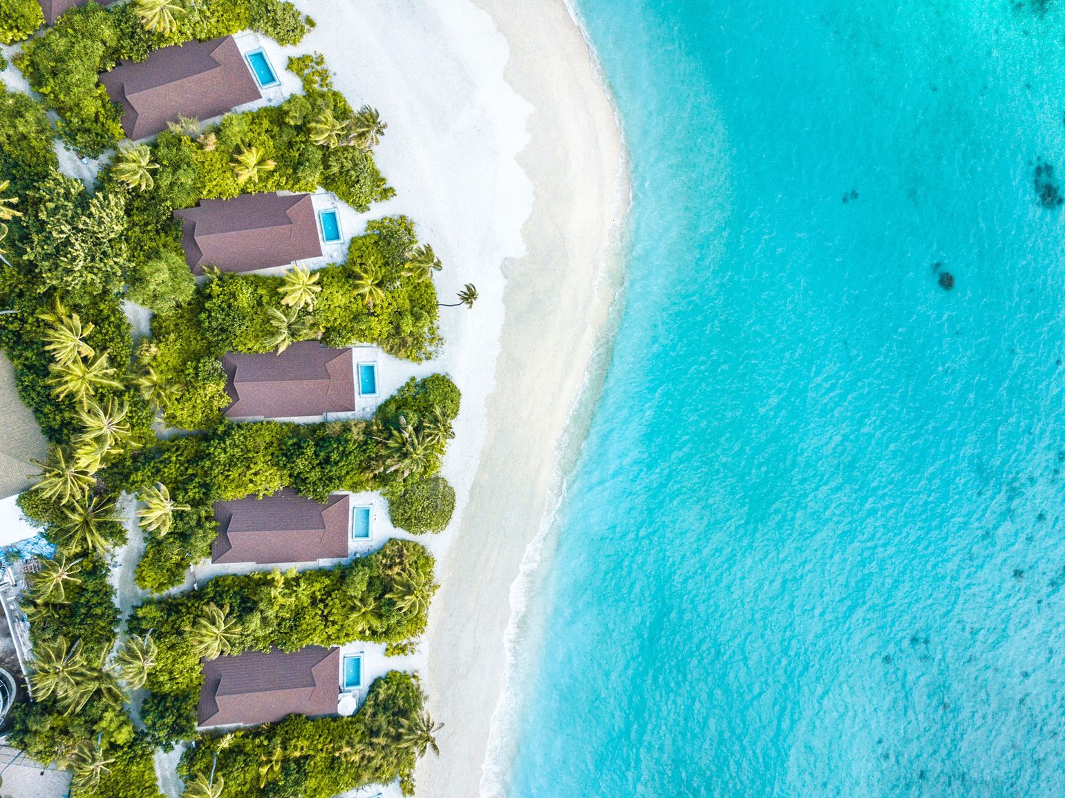 Honeymoon in the Maldives
