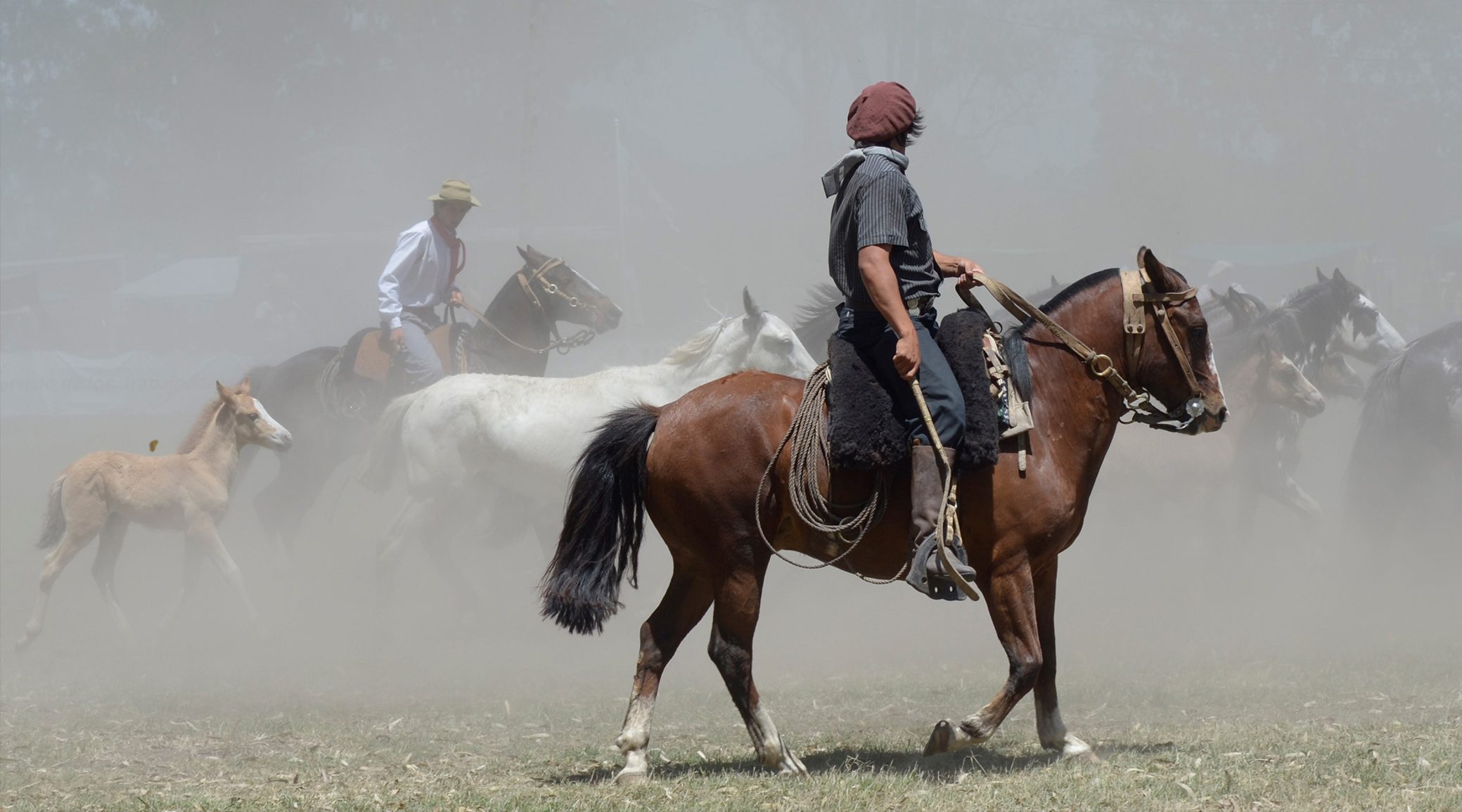 Gaucho in Salta, Argentina