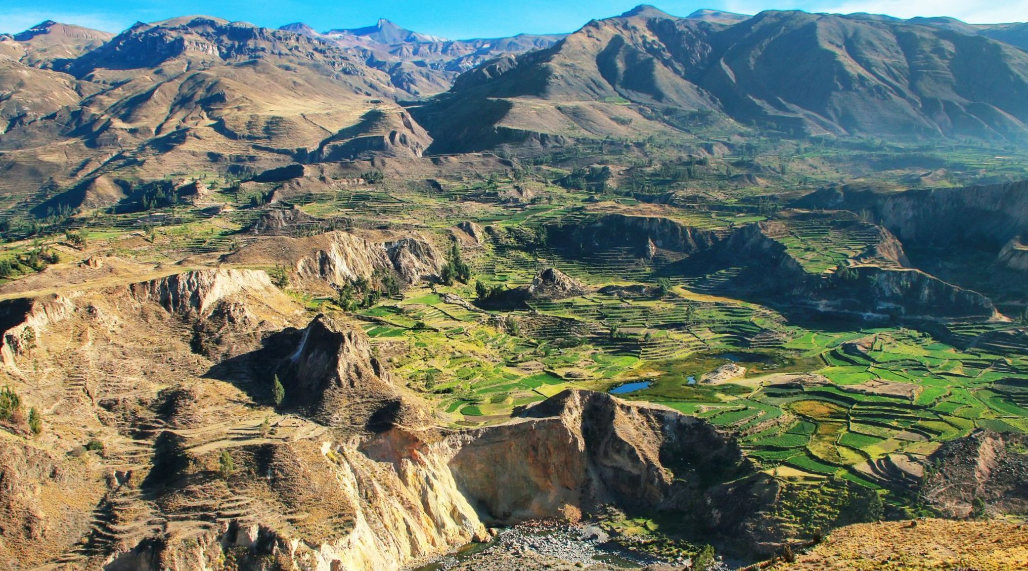 Stepped terraces in Colca Canyon in Peru