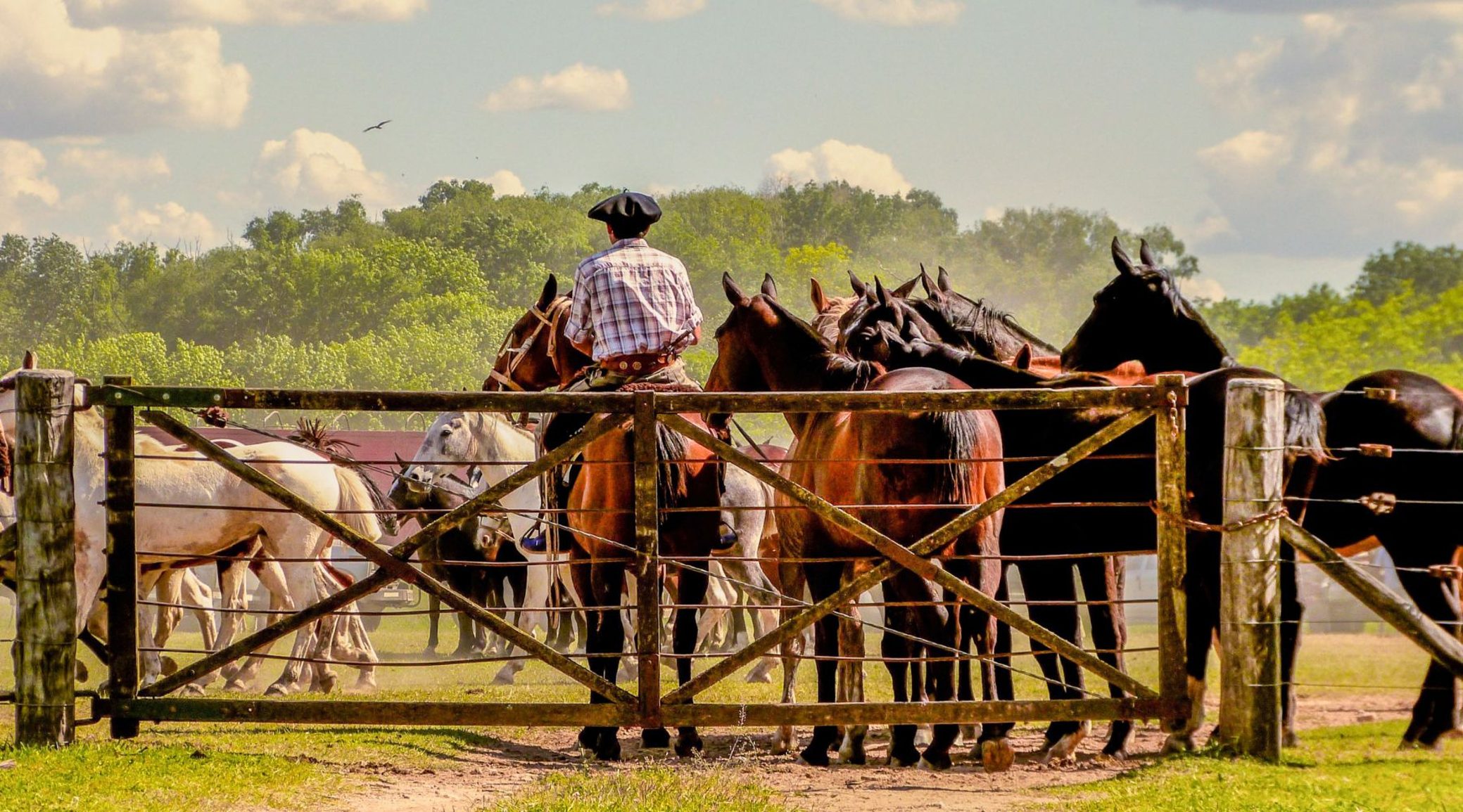 Traditional gaucho's day in San Antonio de Areco, Argentina