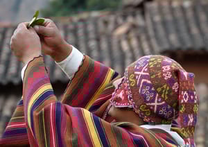 Shaman leaves ritual