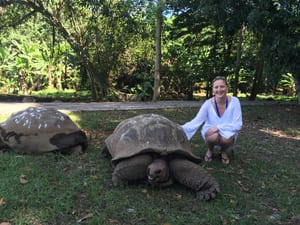 Milla Tortoises
