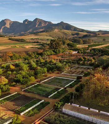 Babylonstoren | Luxury Hotels in South Africa