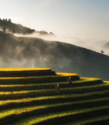 Golden Hills Mu Cang Chai, luxury travel Vietnam