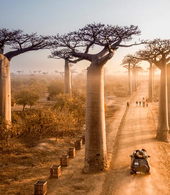 Unusual holiday in Madagascar