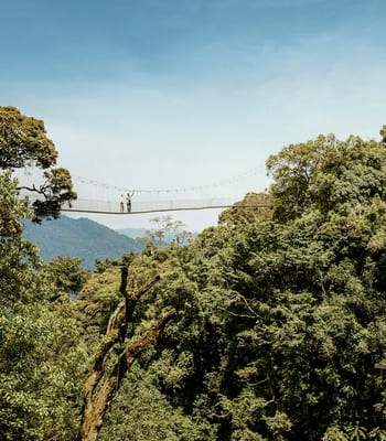 One&Only Nyungwe House, Rwanda