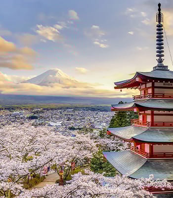 Where to go on vacation in April: Japan