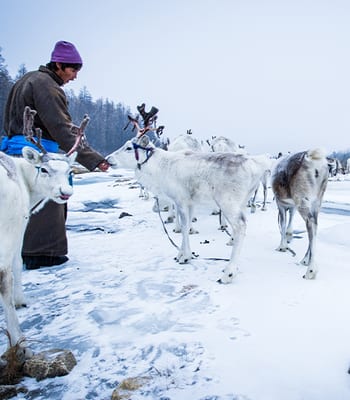 Mongolia