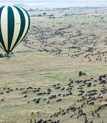 Honeymoons in Kenya