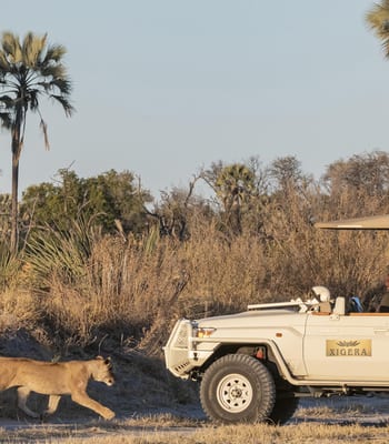 Xigera Safari Lodge, Okavango Delta | Luxury Hotels & Lodges in Botswana