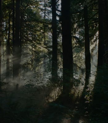 Get Lost