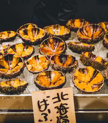 Japan market sea urchins