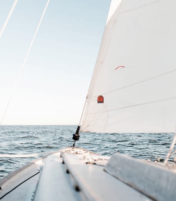 Sail the bay of islands