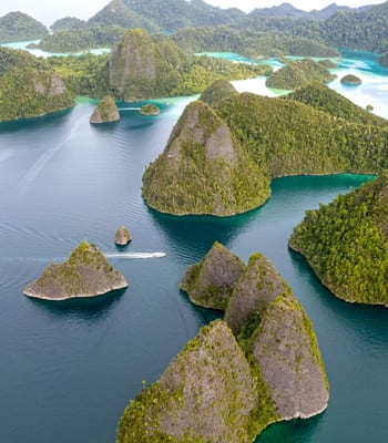 Summit of Wayag Island