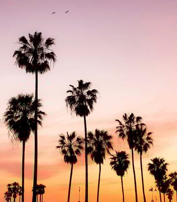 Venice Beach California at sunset, Barbie Set Jetting, Black Tomato