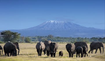 Climb-Kilimanjaro | Bucket List